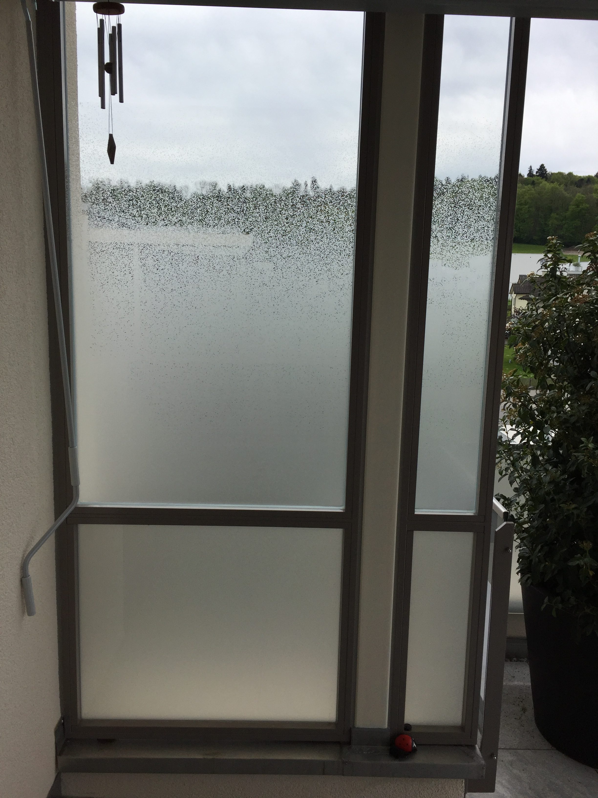 Verlauffolie DECO115 – Bild 10