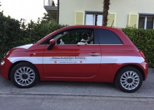 Autofolie