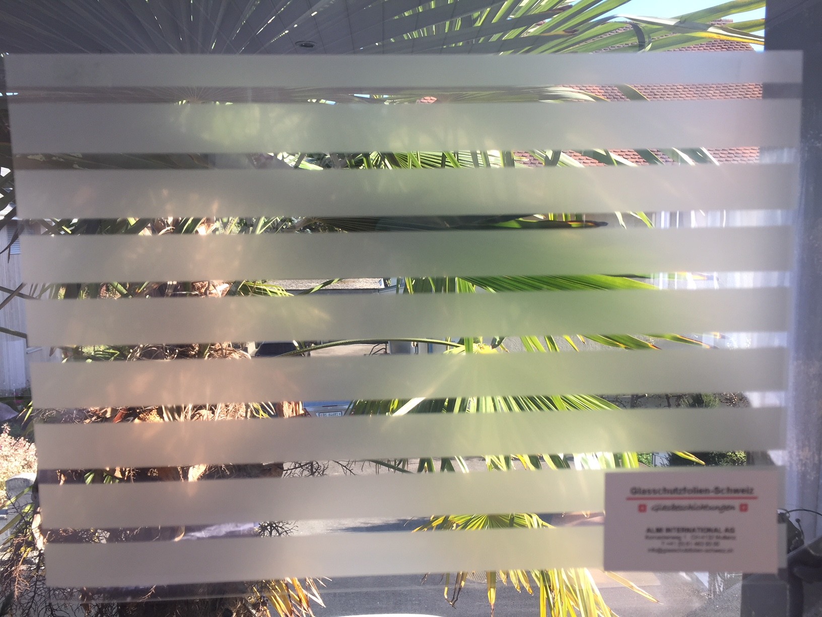 Sirius: Linien 18mm, 6mm transparent. – Bild 3